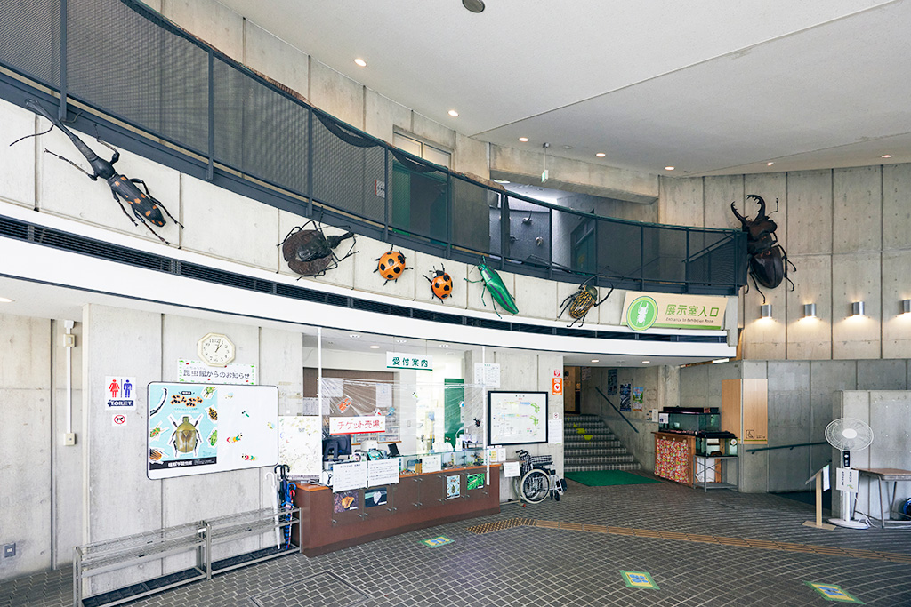 １階ロビー/橿原市昆虫館（奈良県/橿原市）