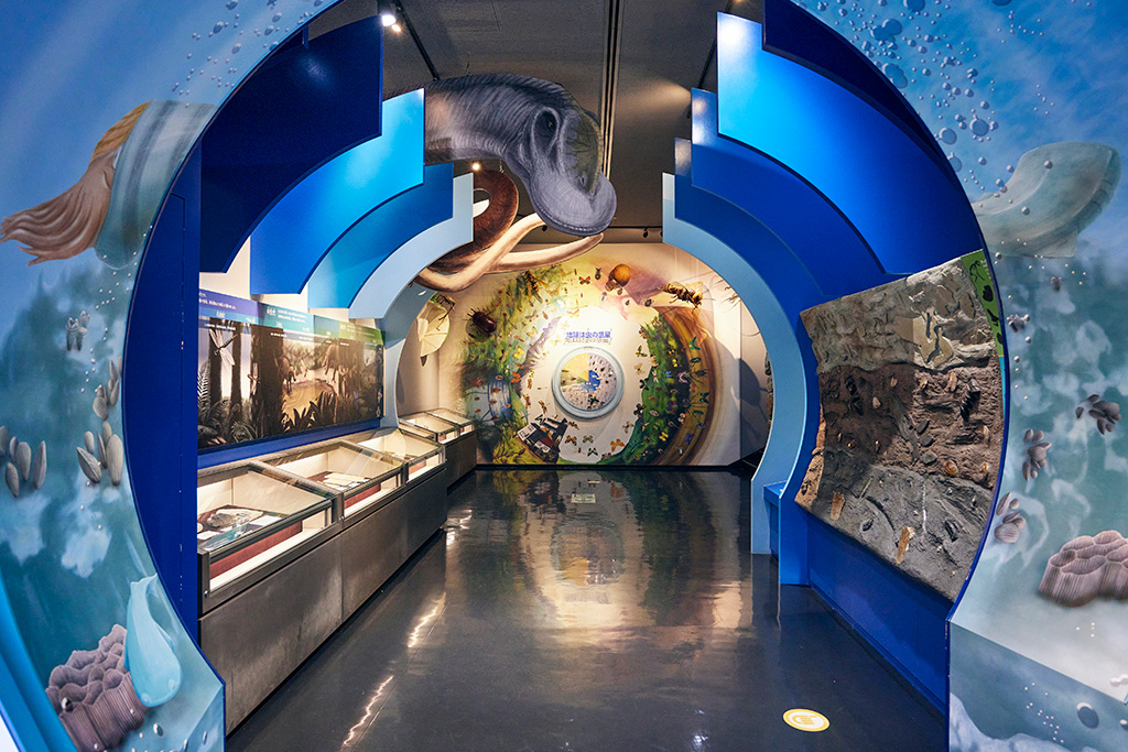 生き物タイムトンネル/橿原市昆虫館（奈良県/橿原市）