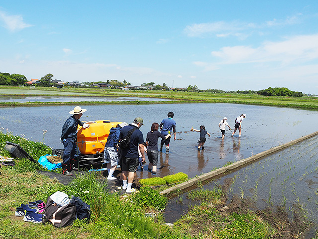 田植え体験の様子/まなびファーム（千葉県/九十九里町）