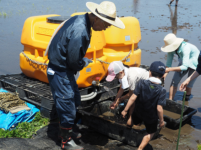 田植え体験｜泥を洗い流す様子/まなびファーム（千葉県/九十九里町）