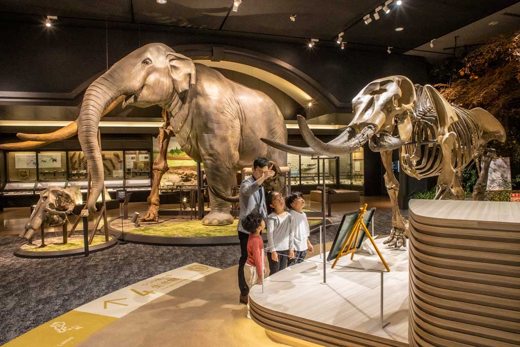 滋賀県立琵琶湖博物館（滋賀県／草津市）