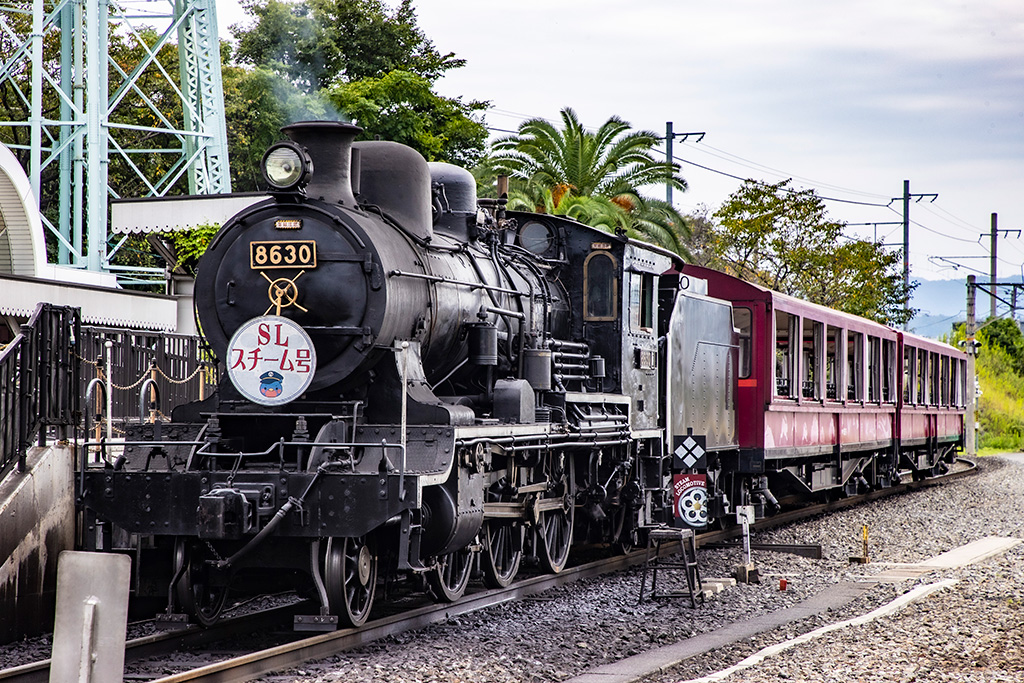 SLスチーム号/京都鉄道博物館(京都府/京都市)