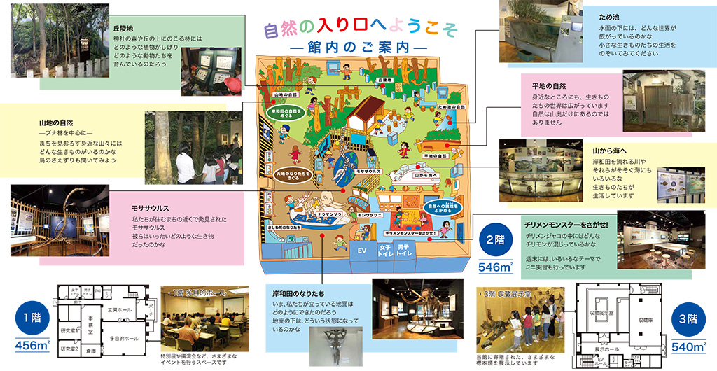 フロアマップ /きしわだ自然資料館（大阪府/岸和田市）
