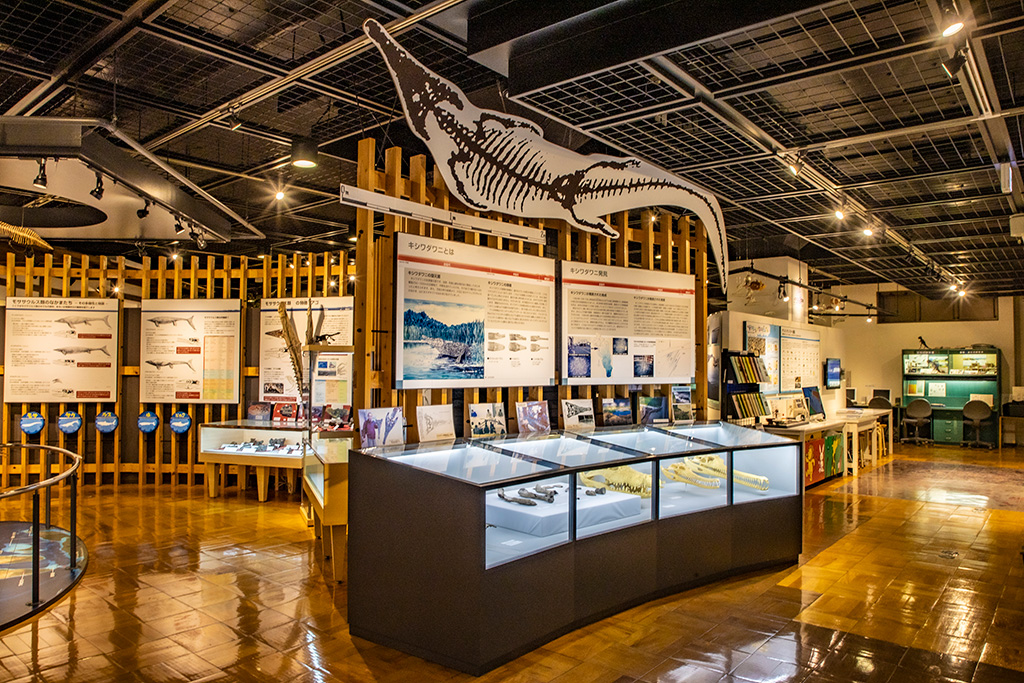 実物の岩石や鉱物の展示/きしわだ自然資料館（大阪府/岸和田市）