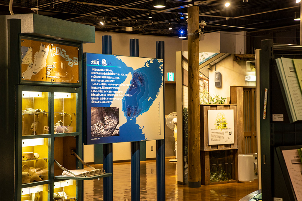 岸和田の自然を学ぶコーナー/きしわだ自然資料館（大阪府/岸和田市）