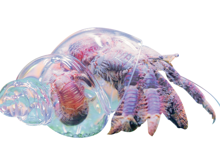 スケスケ展 in TOKYO/東京ドームシティ｢Gallery AaMo（ギャラリー アーモ）」（：文京区）