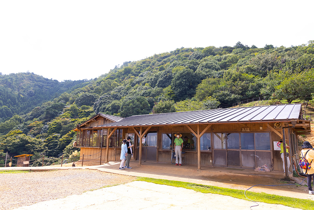 広場にある休憩所/嵐山モンキーパーク（京都府/京都市）