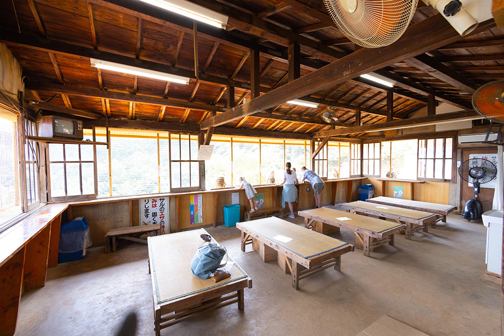 広場にある休憩所/嵐山モンキーパーク（京都府/京都市）