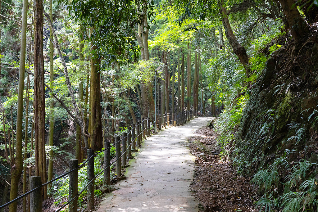 なだらかに整備された遊歩道/嵐山モンキーパーク（京都府/京都市）