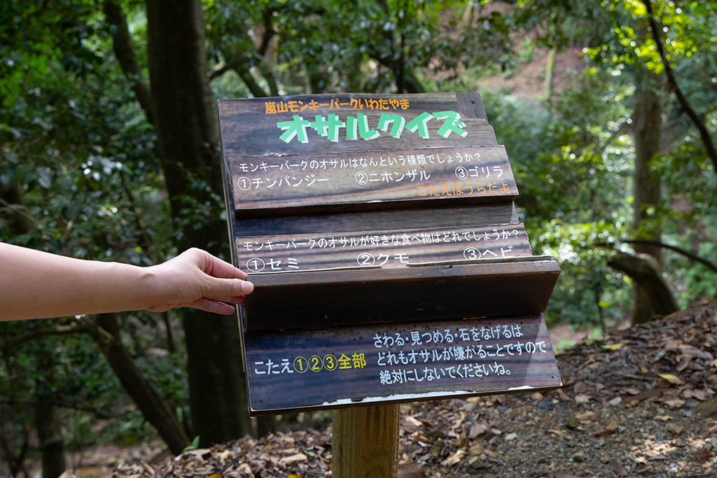 ちょっとした豆知識になるオサルクイズ/嵐山モンキーパーク（京都府/京都市）