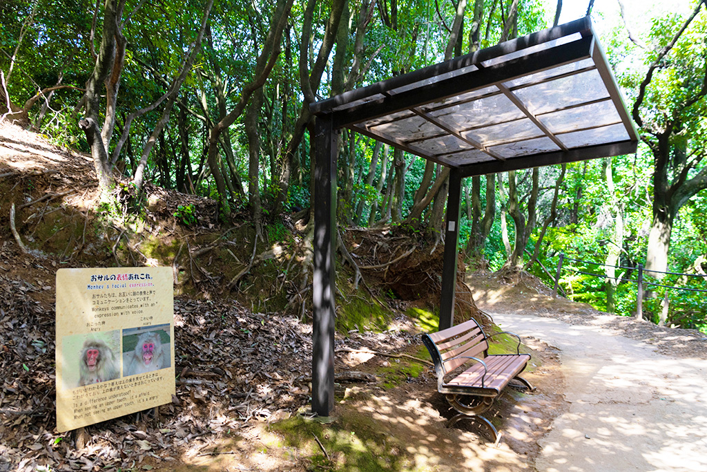 休憩用のベンチ/嵐山モンキーパーク（京都府/京都市）