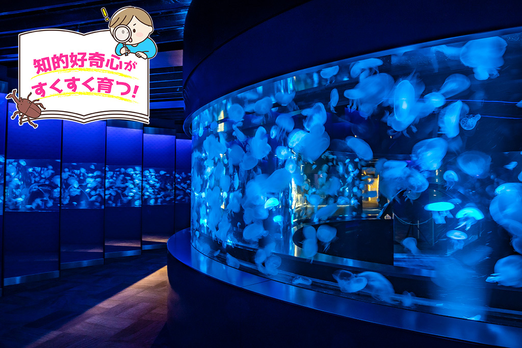 京都水族館（京都府/京都市）