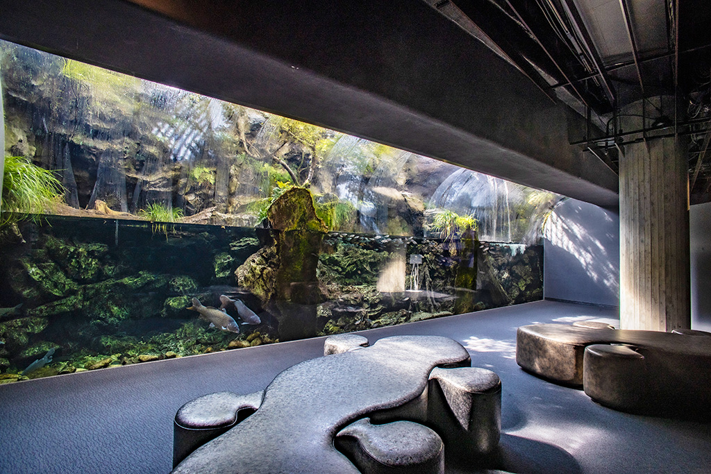 「京の川」エリア/京都水族館(京都府/京都市)