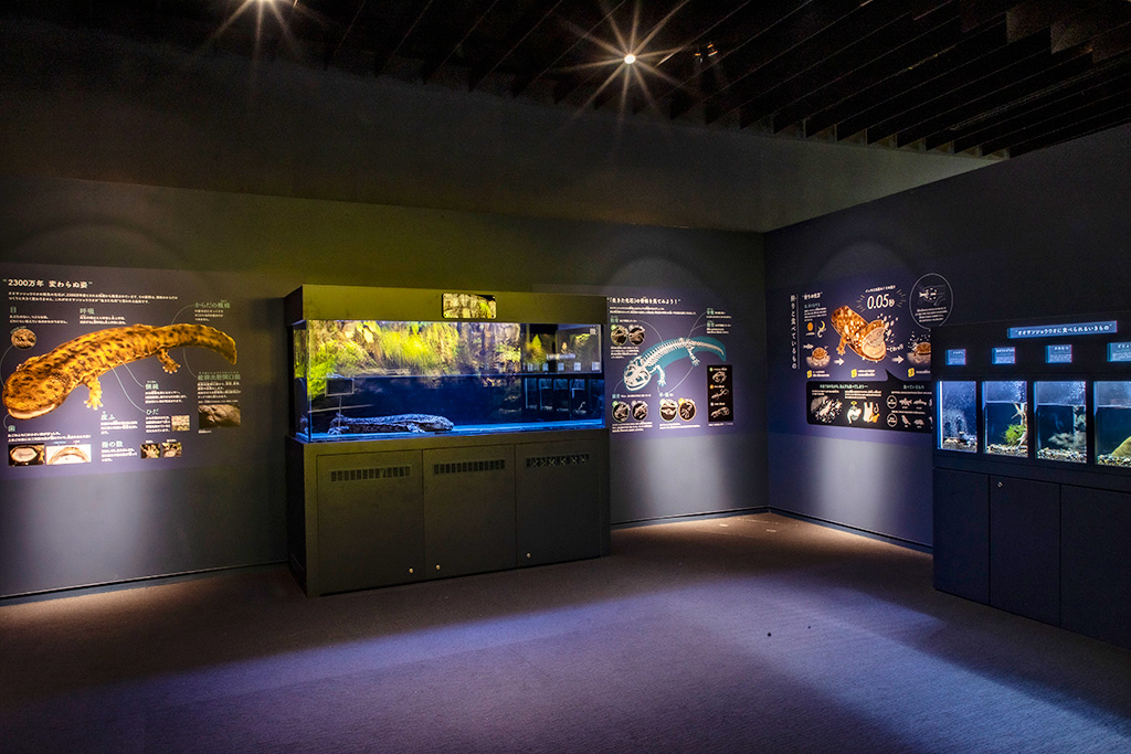 特別展示コーナー/京都水族館(京都府/京都市)