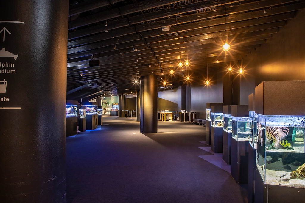 「交流プラザ」/京都水族館(京都府/京都市)