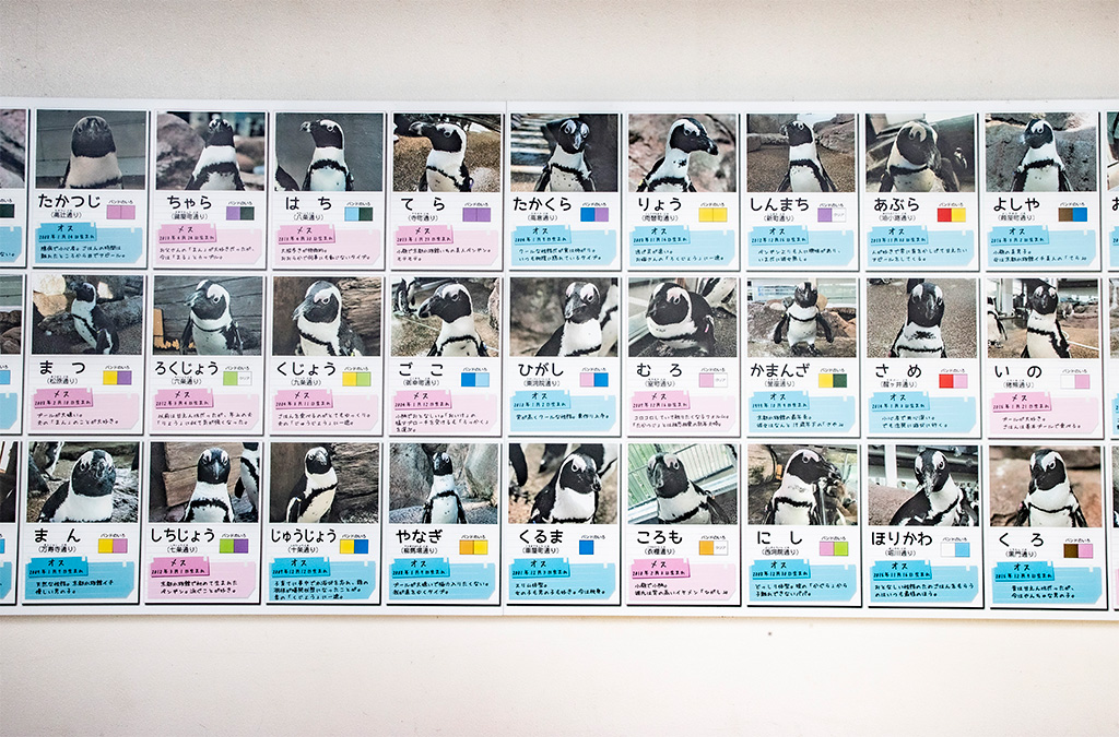 /京都水族館(京都府/京都市)