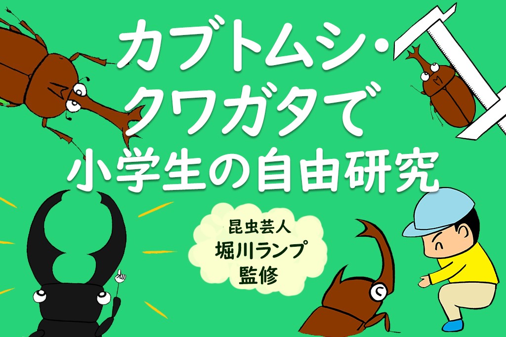 カブトムシとクワガタで小学校1～4年生の自由研究！学年別のまとめ方のコツも
