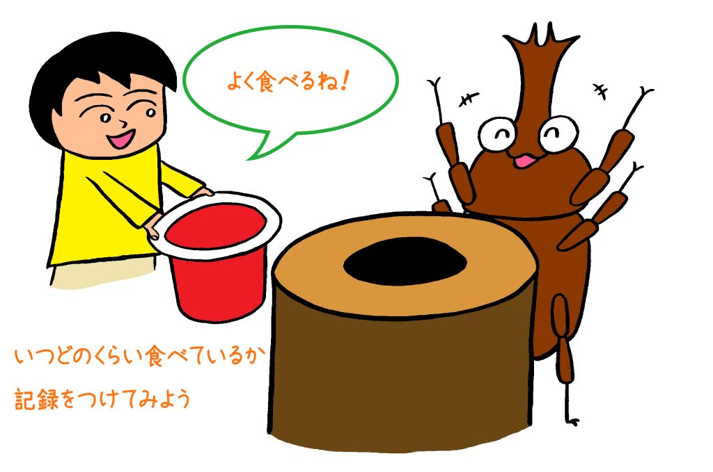 エサは1日何回食べるかな