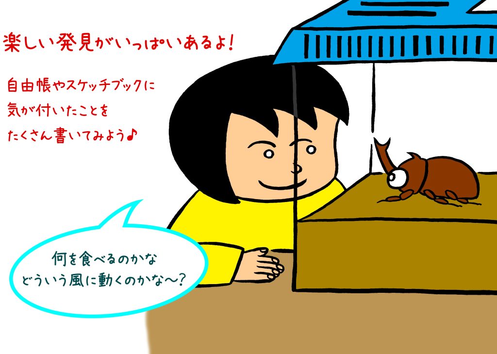 カブトムシやクワガタをじっくり観察しよう!