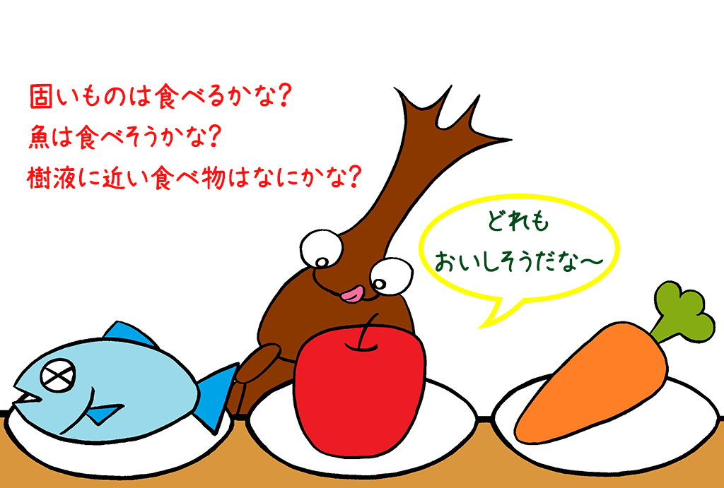 カブトムシやクワガタが好きなエサをさがしてみよう