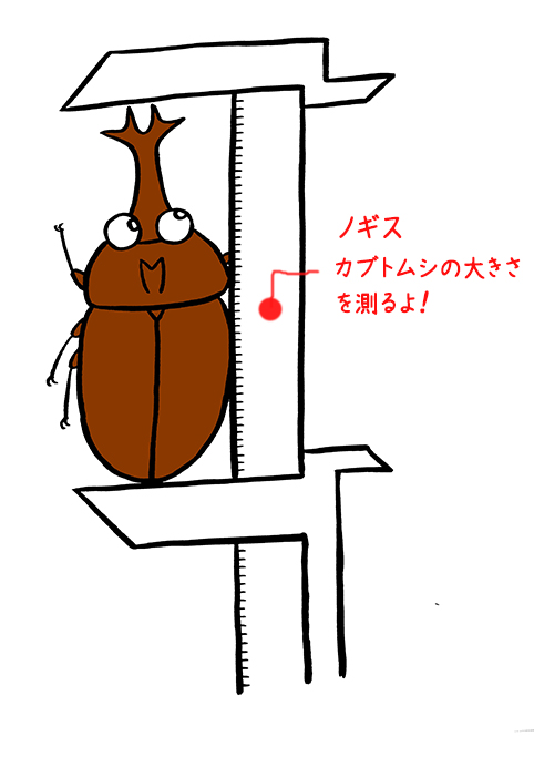 カブトムシは大きくなるのかな