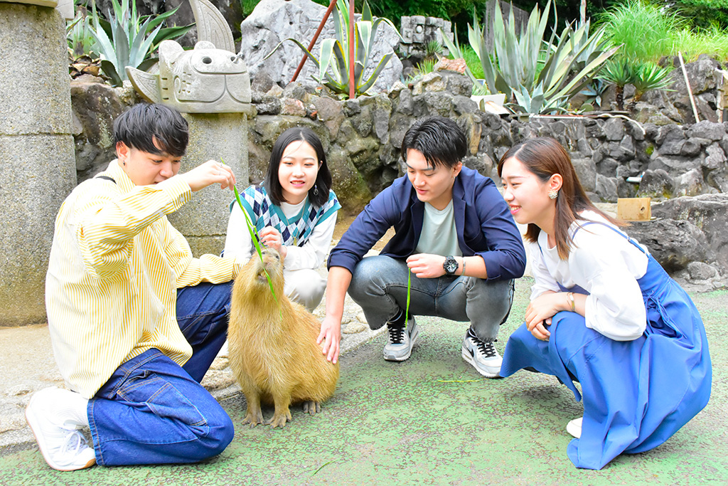 カピバラ虹の広場/伊豆シャボテン動物公園(静岡県/伊東市)