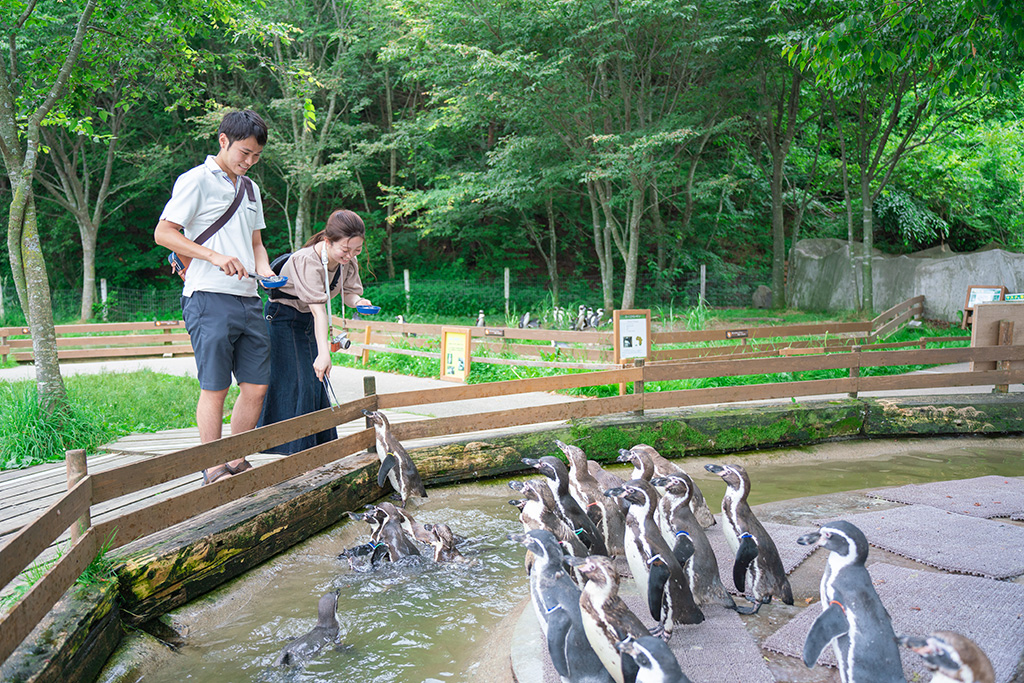 餌やり体験/
那須どうぶつ王国（栃木県／那須町）