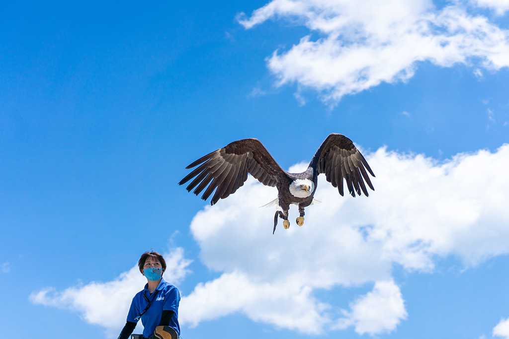 BROAD/
那須どうぶつ王国（栃木県／那須町）