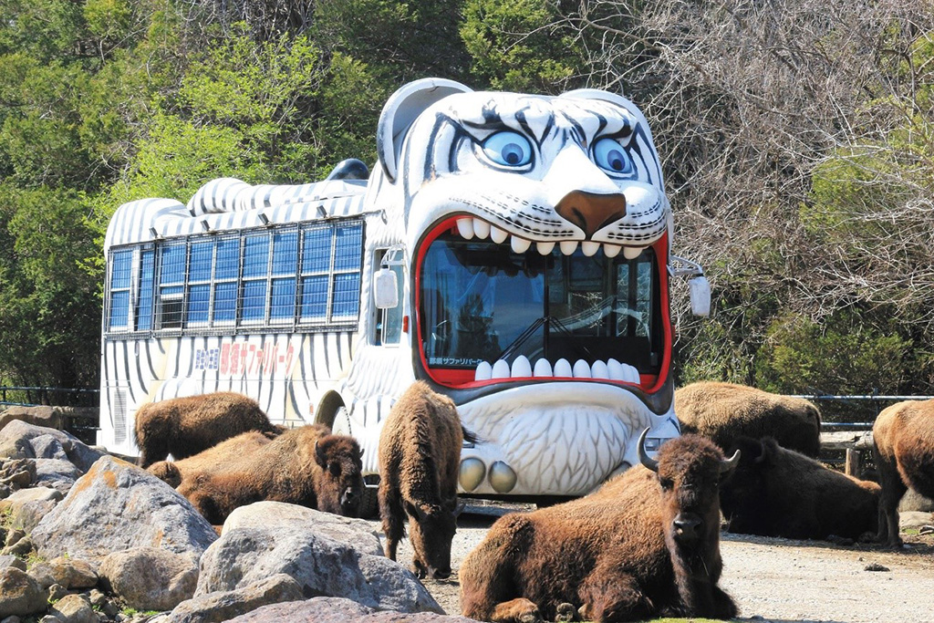 サファリゾーン/那須サファリパーク（栃木県／那須町）