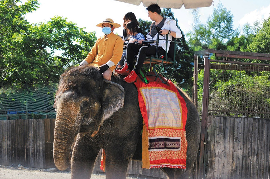ゾウライド/那須サファリパーク（栃木県／那須町）