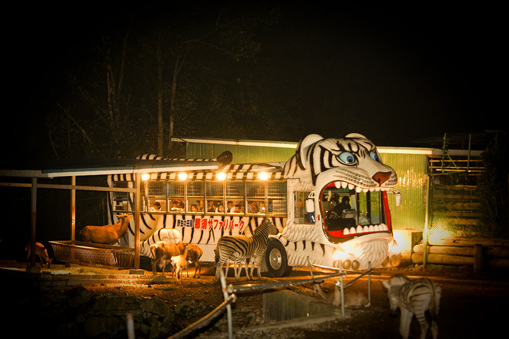 ナイトサファリ/那須サファリパーク（栃木県／那須町）
