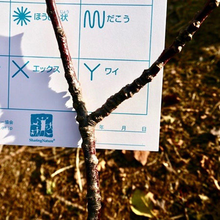 フィールドパターン