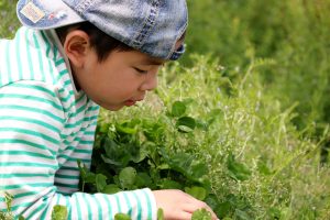 自由研究や宿題にも！公園やキャンプ場など夏休みのおでかけ先で楽しむ「ネイチャーゲーム」