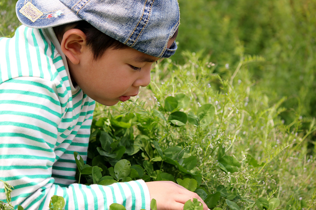 自由研究や宿題にも！公園やキャンプ場など夏休みのおでかけ先で楽しむ「ネイチャーゲーム」
