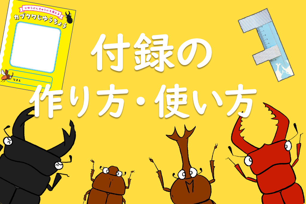 自由研究キットの工作が楽しい！『こわくない！カブトムシ・クワガタの採集と飼育』の付録の使い方