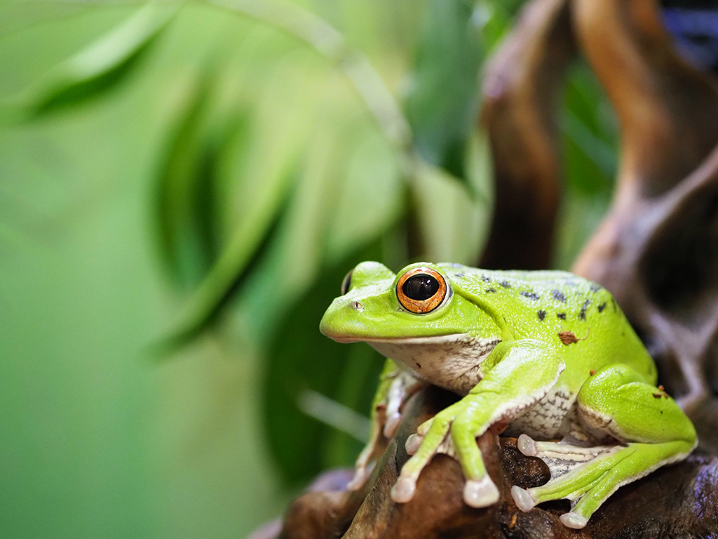 サンシャイン水族館（東京都/豊島区）