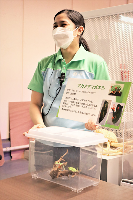 飼育スタッフによる生解説/サンシャイン水族館（東京都/豊島区）