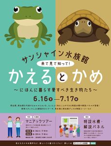 東京・サンシャイン水族館で「かえるとかめ~にほんに暮らす愛すべき生き物たち~」が開催中