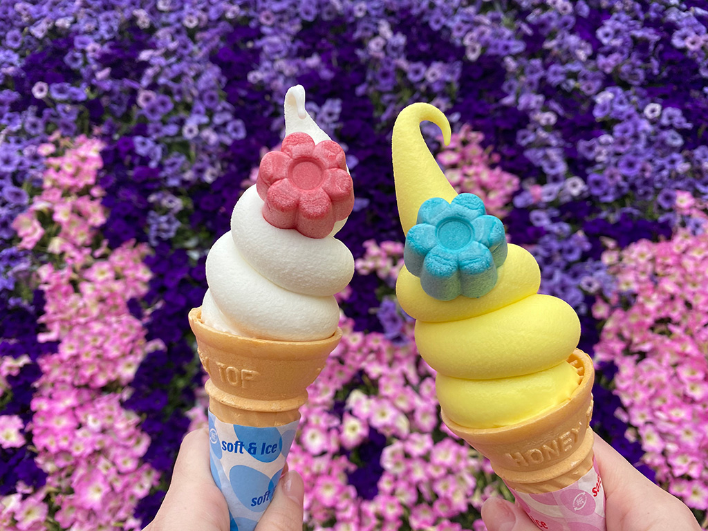 世界のクワガタ・カブト大集合!(群馬県/みなかみ町)