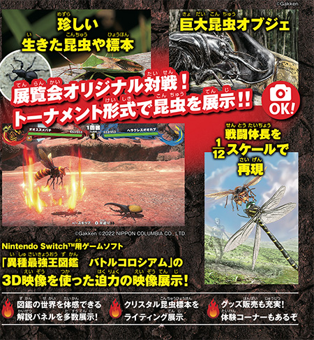 昆虫最強王図鑑展（東京都/豊島区）（秋田県/秋田市）