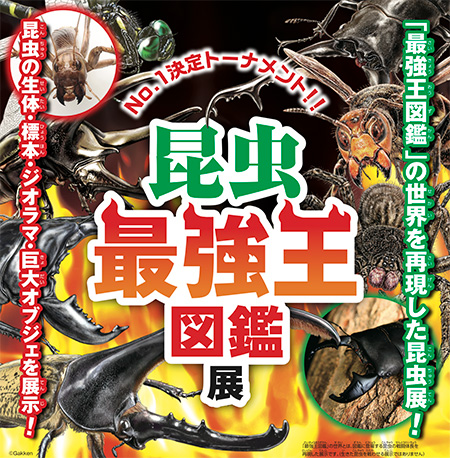 昆虫最強王図鑑展（東京都/豊島区）（秋田県/秋田市）