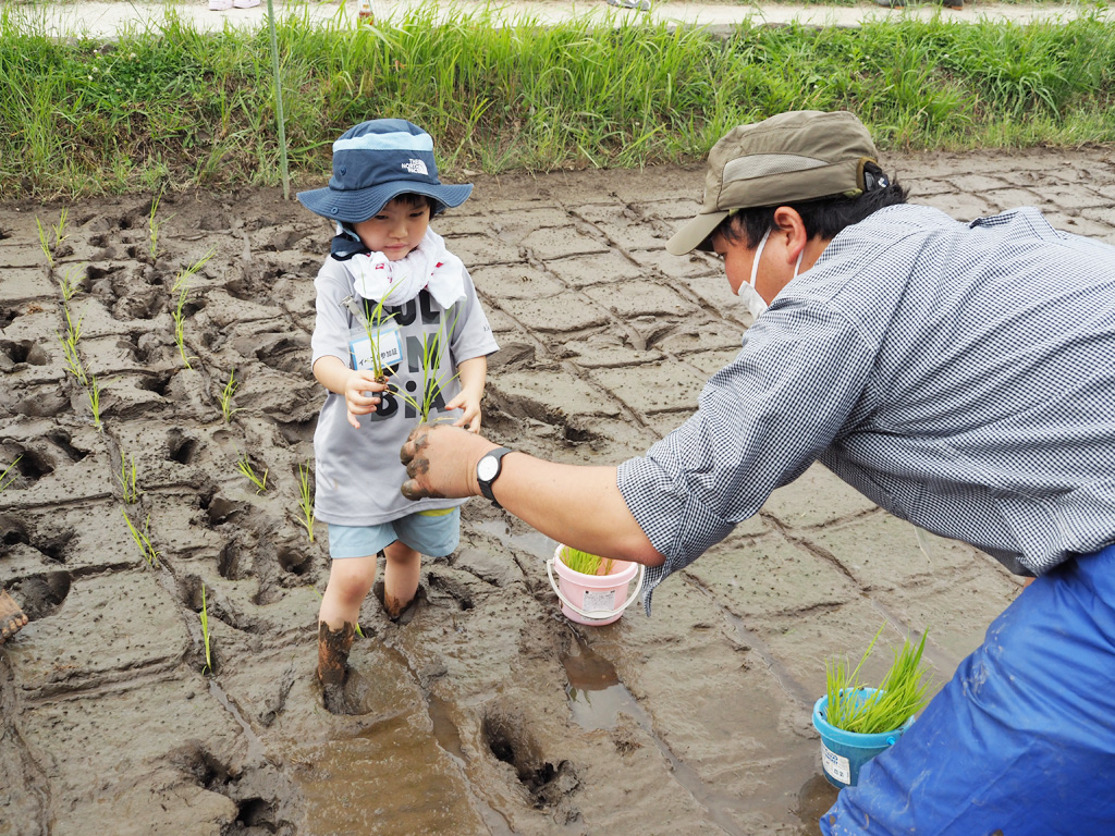 足立区都市農業公園の田植え体験・農業体験レポート！子ども遊具やレストランも
