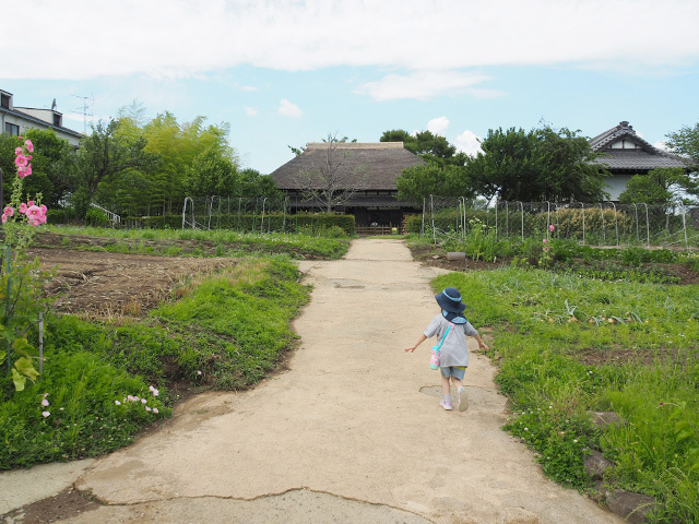 日本の原風景のような雰囲気が感じられる/足立区都市農業公園