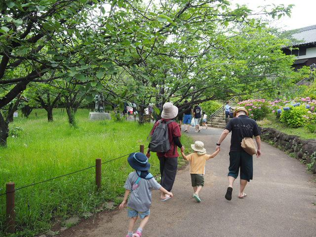 田んぼへ向かいます/足立区都市農業公園