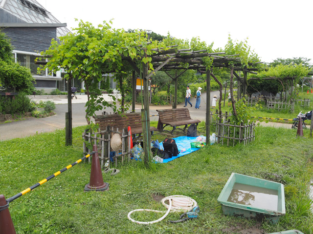 田んぼの脇の荷物置き場/足立区都市農業公園