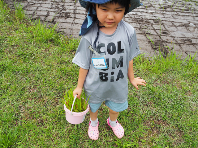 下準備は完了/足立区都市農業公園