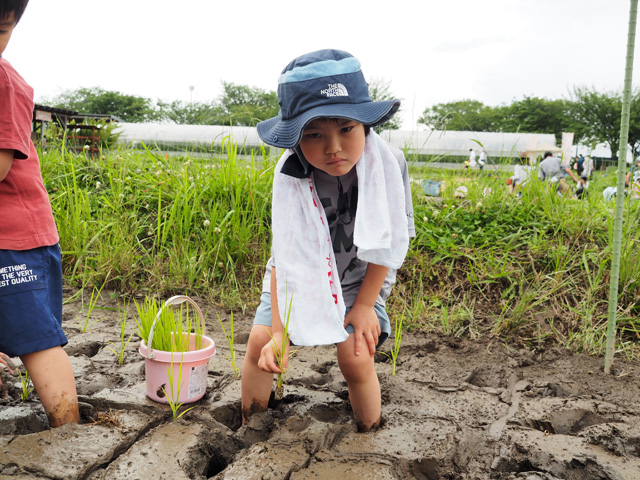 初めての感覚に顔が引きつっています/足立区都市農業公園
