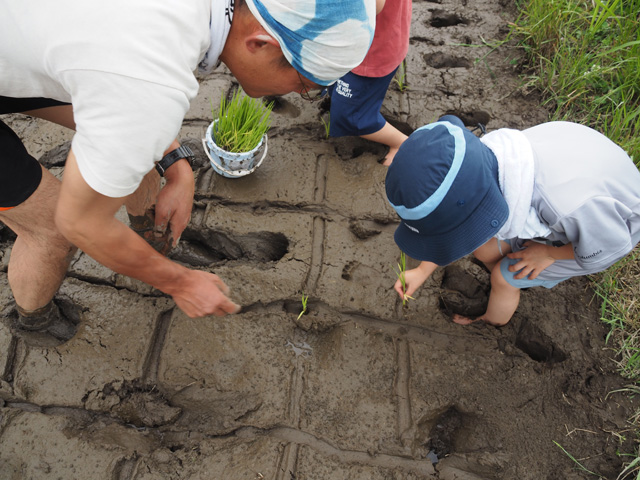 現役の農家さんや農業スタッフさんの手ほどきを受けながら…/足立区都市農業公園