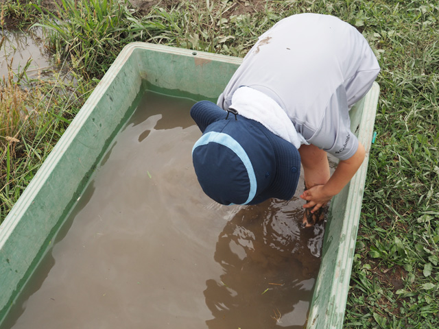 用意された水場で泥を洗い落として戻ります/足立区都市農業公園