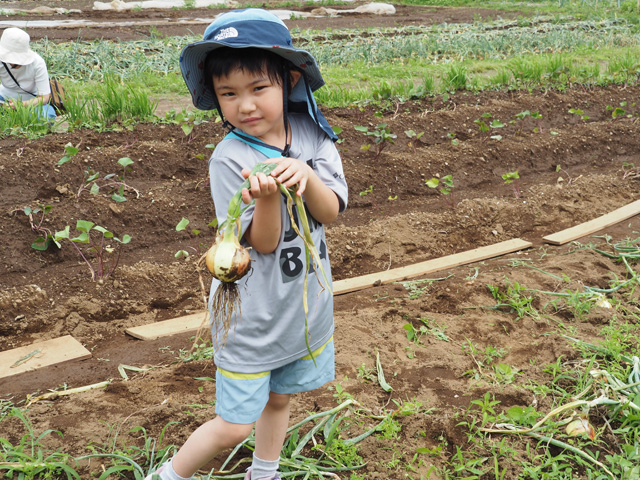 2歳以上の未就学児と保護者を対象にした「畑のようちえん」/足立区都市農業公園